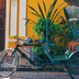 plein sud : madras, pondichéry et kerala