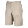 short pallidi