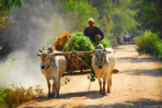 randonnée en pays shan