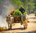 randonnée en pays shan