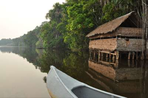 el condor pasa & amazonie