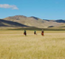 steppe by steppe sur les pas de gengis