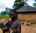 tata somba et faune de la pendjari