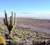 du machu picchu au salar d'uyuni