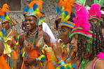 carnaval et chlorophylle