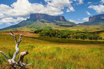 duo roraima et mochima