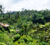 rizières et volcans de bali & extension balnéaire