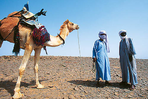 les deux hoggar : une traversée