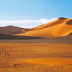 les dunes de mehedjebat