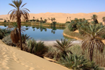 des lacs au milieu des dunes