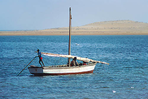 de l'adrar au banc d'arguin