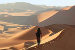 dunes