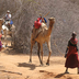 expédition du pays rendille au lac turkana