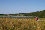 les monts d'aubrac