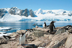 la péninsule antarctique