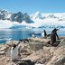 la péninsule antarctique