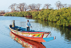 sénégal, hivernage dans le siné saloum