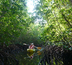 voyage au cœur de la mangrove du siné saloum
