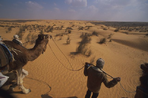 oasis et dunes du grand erg oriental