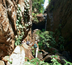 trek fouta-djalon