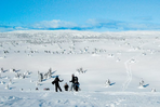 sur les hauts plateaux de lillehammer