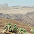 simien et montagnes d'abyssinie