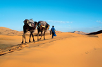 dunes de merzouga