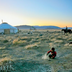 a la rencontre des nomades, rois de la steppe