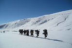 hivernale du changtang au zanskar