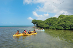 trésors des caraïbes