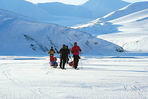 sur les traces de l'ours