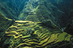 rizières et volcans des philippines