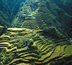 rizières et volcans des philippines