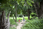 randonnées sportives au coeur de la casamance