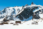 le grand st bernard