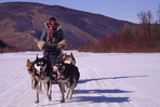 traîneau en terre mongole noël et jour de l'an