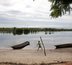 vie sauvage dans le delta du siné saloum
