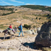 cévennes, senteurs du pays d'oc