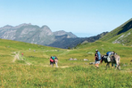 balade avec un âne entre léman et mont blanc