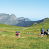 balade avec un âne entre léman et mont blanc