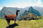 petits incas et temple du soleil