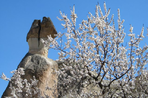paysages fascinants de turquie