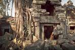 temples et cocotiers