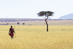 au pays des danses masaïs