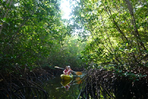 siné saloum et mangrove en famille