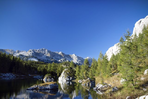 echappée alpine au pays de l'ours