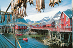 lumières boréales, de tromsø aux îles lofoten