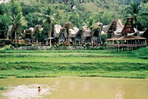 sulawesi, trek en pays toraja
