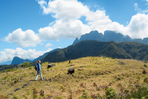 ile de la réunion, montagnes de l'océan indien