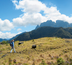 ile de la réunion, montagnes de l'océan indien